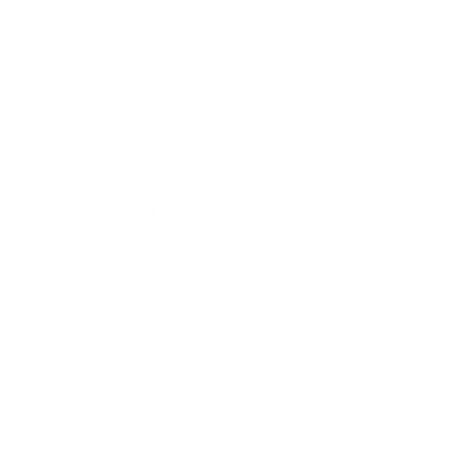kunddata Rule