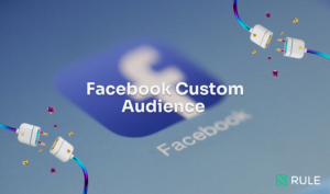 Facebook custom audience